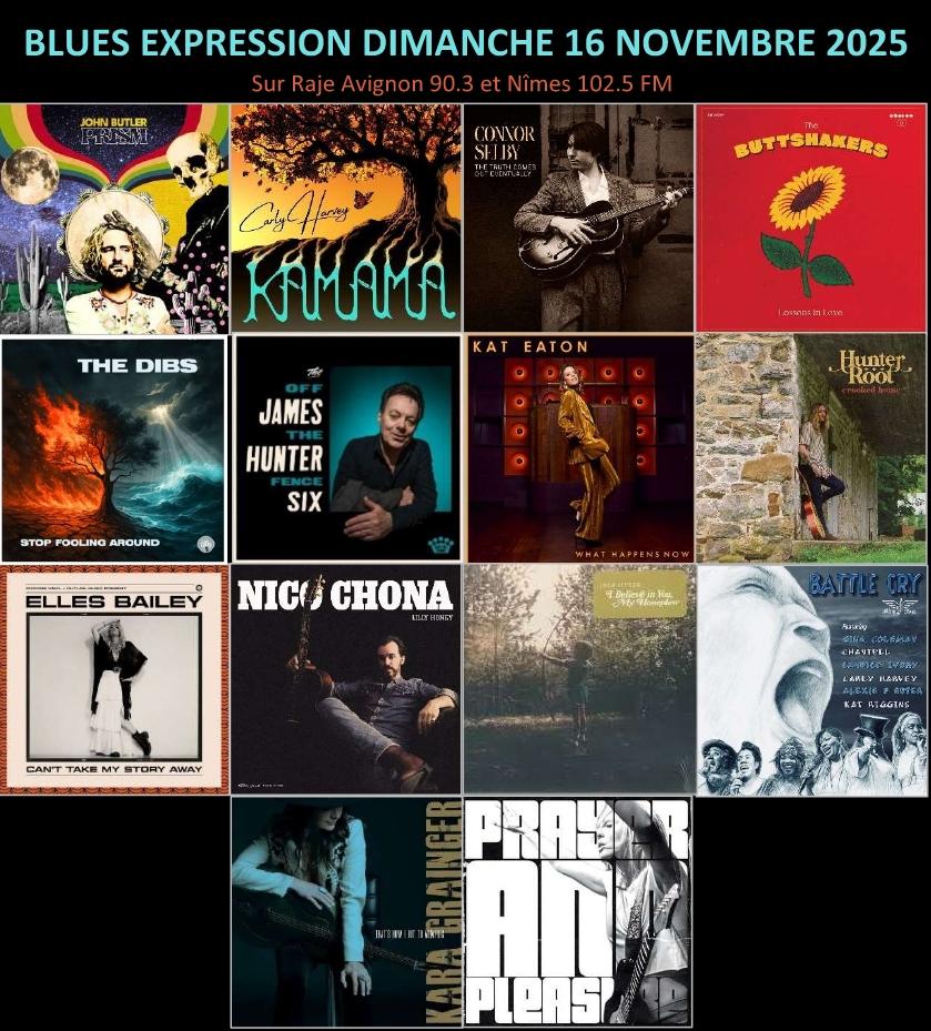 BLUES EXPRESSION novembre 2025 agenda et actualités du blues